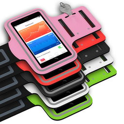 乐鱼（LEYU）体育-智能体育设备用户使用行为分析，智能体育装备