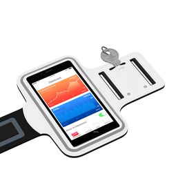 乐鱼(LEYU)体育-智能体育设备用户使用行为分析,智能体育装备