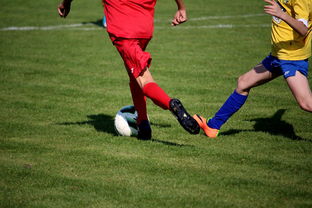 详细阅读:乐鱼app-篮球训练计划科学制定与执行效果评估,篮球训练计划制定与范例 乐鱼app-篮球训练计划科学制定与执行效果评估,篮球训练计划制定与范例