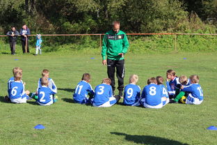 乐鱼(LEYU)体育-足球战略分析:顶级球队的布局与调整,足球战略分析_顶级球队的布局与调整