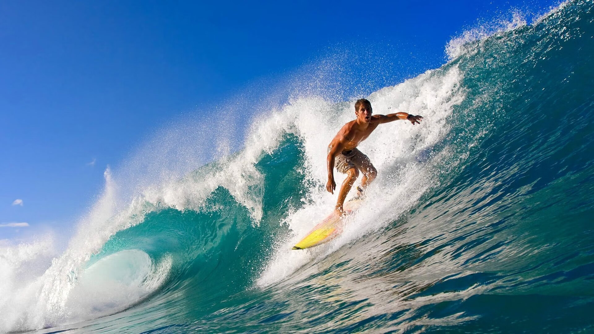 Leyu Sport登录入口-体育新闻中心上线智能体育资讯定制推送服务,体育新闻网址大全