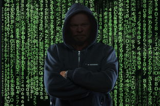 乐鱼app-弗朗索瓦·斯图尔特:出色的进攻组织者,带领南非队稳步向前,弗朗索瓦莱特瑞尔